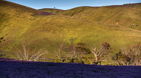 Rapid Valley na Półwyspie Fleurieu – Rapid Bay, Australia