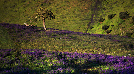 Rapid Valley na Półwyspie Fleurieu – Rapid Bay, Australia