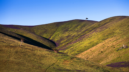 One Tree Hill – Rapid Bay, Australia