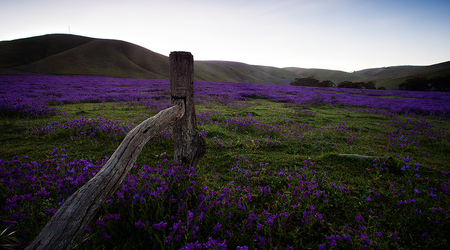 Rapid Valley na Półwyspie Fleurieu – Rapid Bay, Australia