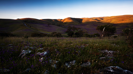 Rapid Valley na Półwyspie Fleurieu – Rapid Bay, Australia