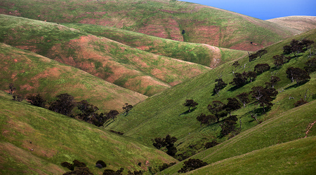 Marmurkowe wzgórza – Rapid Bay, Australia