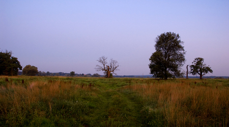 na polanie – Rogalinek, Polska