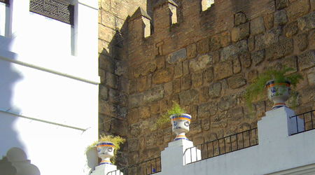 8265779 - Sewilla Alcazar – Hiszpania