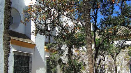 8265806 - Sewilla Alcazar – Hiszpania