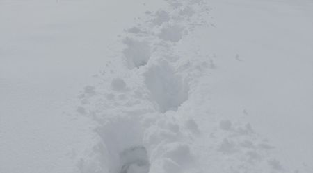 Snieg po kolana – Suliszów, Polska