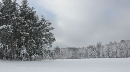 Zima – Suliszów, Polska