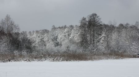 Zima2 – Suliszów, Polska