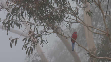 Katoomba – Australia