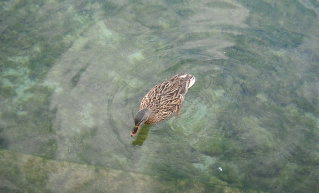 Annecy