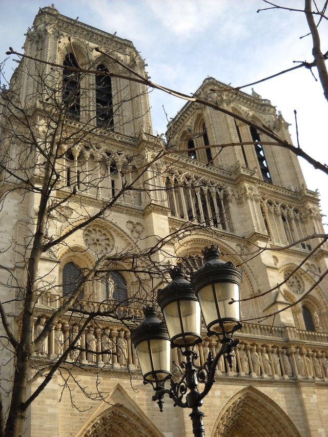 Katedra Notre Dame
