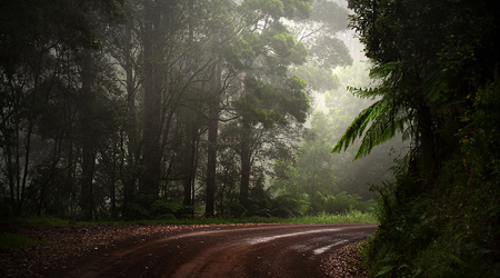 Góry Otway – Apollo Bay, Australia