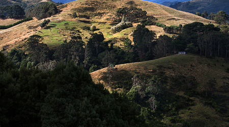 Góry Otway – Apollo Bay, Australia
