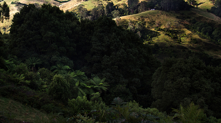 Góry Otway – Apollo Bay, Australia