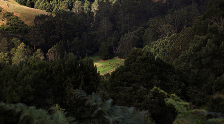 Góry Otway – Apollo Bay, Australia