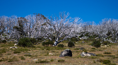 Snowy Mountains – Mount kosciuszko, Australia
