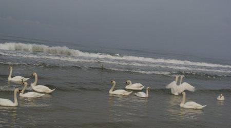 Kołobrzeg – Polska