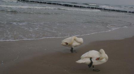 Kołobrzeg – Polska