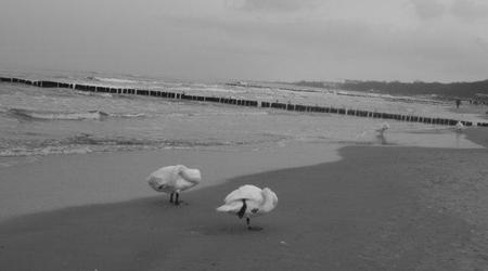 Kołobrzeg – Polska