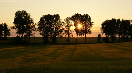 Uroki Podlasia – Stary Bubel, Polska