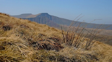 Rzut oka na koronę Brecon Beacons – Talybont-on-usk, Wielka Brytania