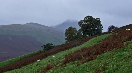 Północne zbocza Brecon Beacons – Storey Arms, Wielka Brytania