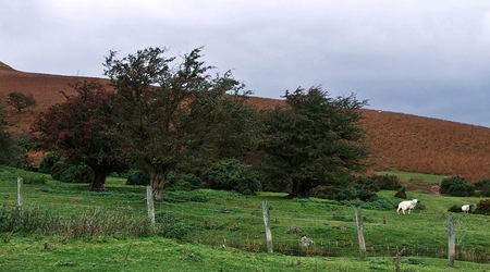 Północne zbocza Brecon Beacons – Storey Arms, Wielka Brytania