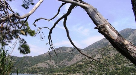 10800711 - Oludeniz laguna – Turcja