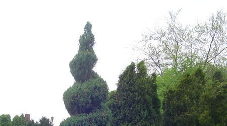 Palmiarnia – Wałbrzych, Polska