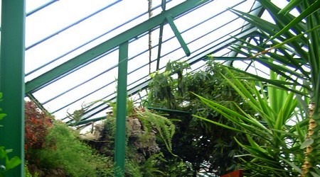 Palmiarnia – Wałbrzych, Polska
