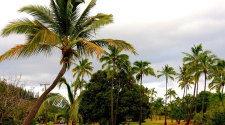 Kauai – Stany Zjednoczone Ameryki