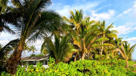 Img 0507 – Kauai, Stany Zjednoczone Ameryki