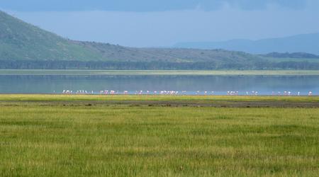 Afryka 983 – Nakuru, Kenia