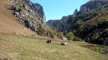 łączka na zakończenie – Bicaz, Rumunia