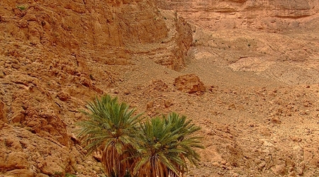 Wąwóz Todra – Tineghir, Maroko