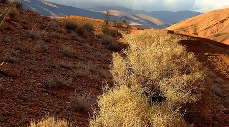 Wąwóz Dades – Boumalne, Maroko