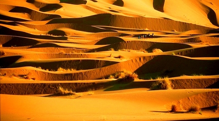 Maroko77 – Merzouga