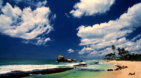 Sri Lanka 5
