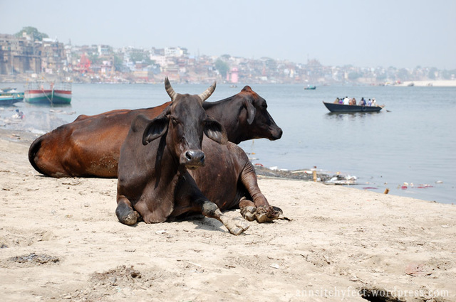 Varanasi