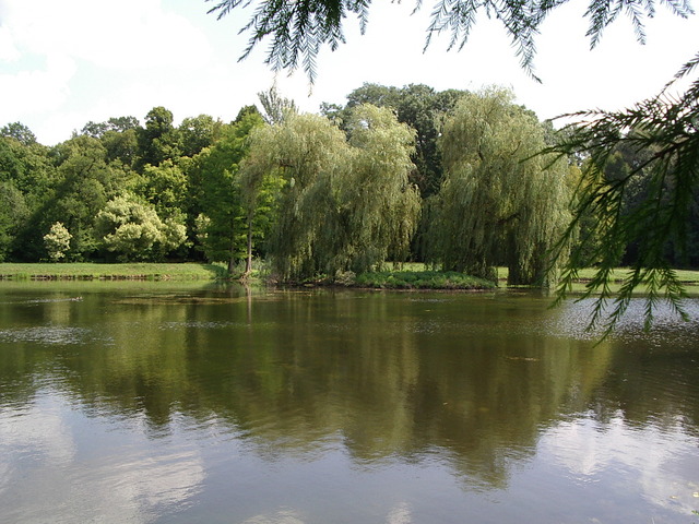 Kórnik4
