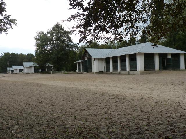 Janów Podlaski   stadnina koni 4