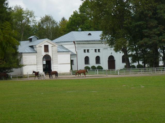 Janów Podlaski   stadnina koni
