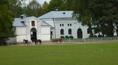 Janów Podlaski   stadnina koni – Polska