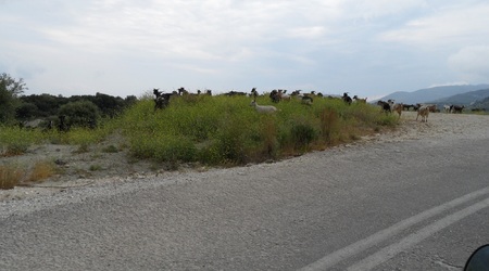 Kózki – Préveza, Grecja