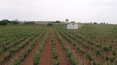 Będzie wino – Malta