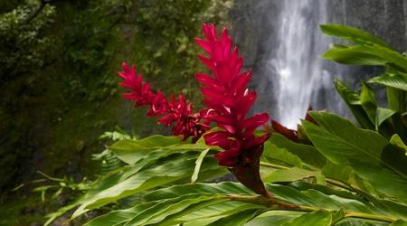 Wodospad Afareaitu nr 2 – Papeete, Polinezja Francuska