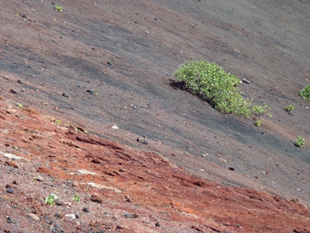 Lanzarote12 marzec 2011