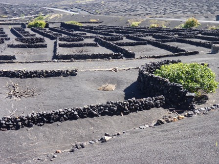 Lanzarote18 marzec 2011