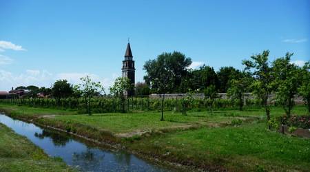 ogrod przy winnicy – Burano, Włochy