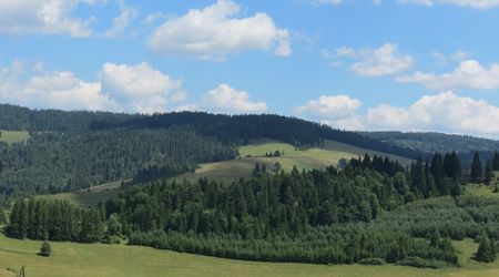 Widok  z wyciągu – Jaworki, Polska